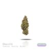 PUFFY WEED