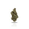 PUFFY WEED