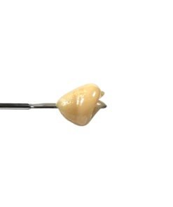 PUFFY THC