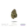 PUFFY WEED