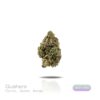 PUFFY WEED