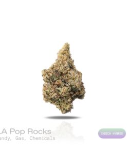 PUFFY WEED