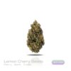 PUFFY WEED