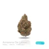 PUFFY WEED
