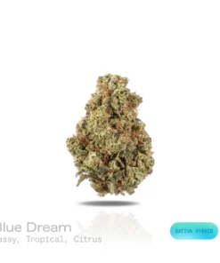 PUFFY WEED