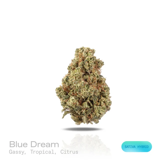 PUFFY WEED PUFFY WEED