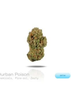 PUFFY WEED