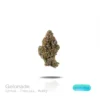 PUFFY WEED