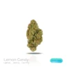 PUFFY WEED