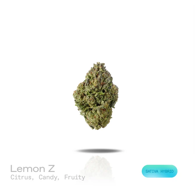 PUFFY WEED PUFFY WEED