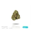 PUFFY WEED