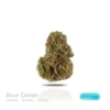 PUFFY WEED
