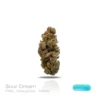 PUFFY WEED