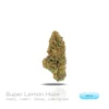 PUFFY WEED