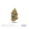 PUFFY WEED