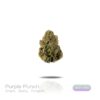 PUFFY WEED
