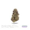 PUFFY WEED