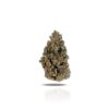 PUFFY WEED